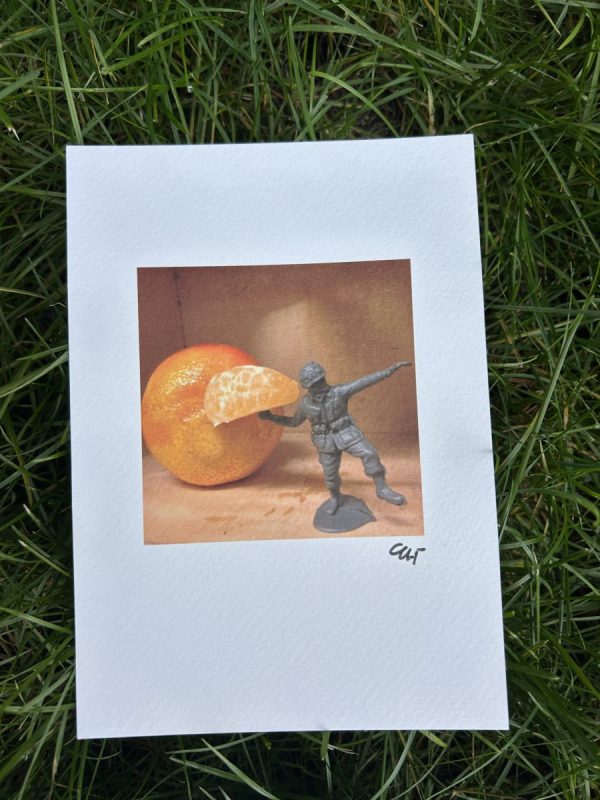 Fruits of war (drieluik prints ) - Image 2