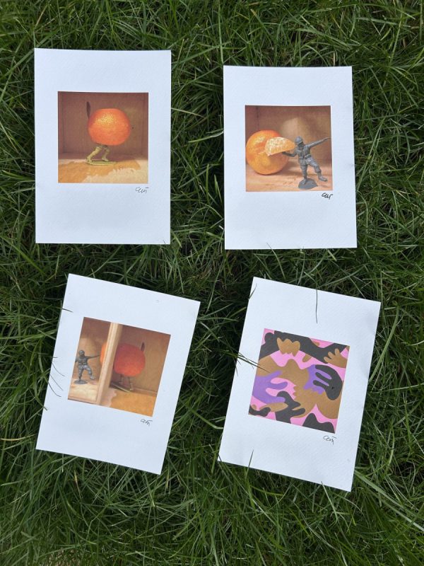 Fruits of war (drieluik prints ) - Image 4