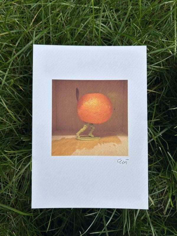 Fruits of war (drieluik prints ) - Image 5